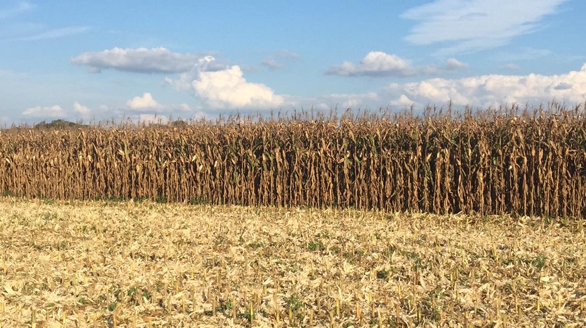 basera_john's tweet image. We have 3 options:
1. Production 
2. Production 
3. Production  
We will choose all and run with all the options.