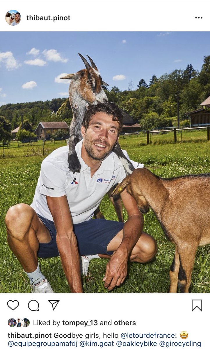 Cycle Sos Thibaut Pinot Saying Goodbye To His Goats Before Heading Off To The Tour De France Is The Most French Thing We Ve Seen Today T Co Jzrlib8kwb Cycle Sos Thibaut Pinot Saying Goodbye To His Goats Before Heading Off To The Tour De France Is The Most French Thing We Ve Seen Today T Co Jzrlib8kwb
