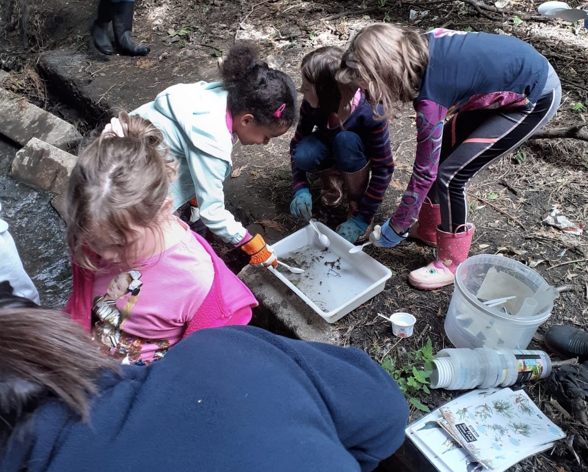 Friends of the Silk Stream tweet media