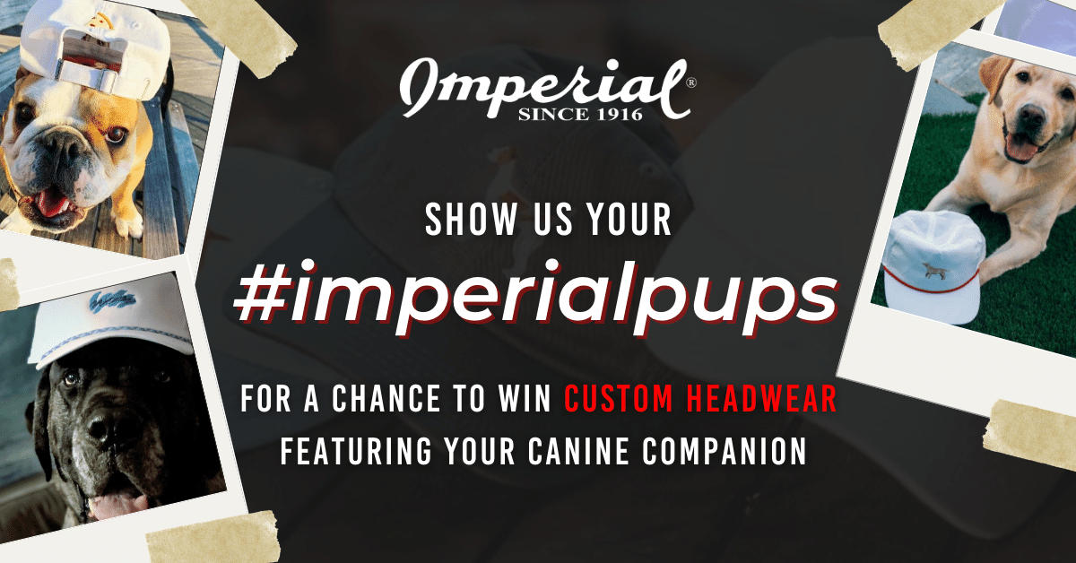 ImperialHats's tweet photo. Celebrate #NationalDogDay &amp; enter the #ImperialPups Photo Contest!📷Post a pic of your🐶in your fave hat w/ #ImperialPups and @imperialhats for your chance to win your Prince(ss) of Barkness embroidered on your fave Imperial hat. 

Full details: https://t.co/eHf1CB0piF https://t.co/eimyU0mpMy