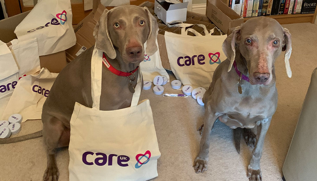 PracticePlusGrp's tweet photo. Today is #nationaldogday, but for some of our colleagues that's everyday! Their four-legged friends are a great addition to our new ways of working. 

Would you (and you dog) like to join Care UK Healthcare? Contact us at directly at careers@careuk.com https://t.co/dTwnu5WerZ