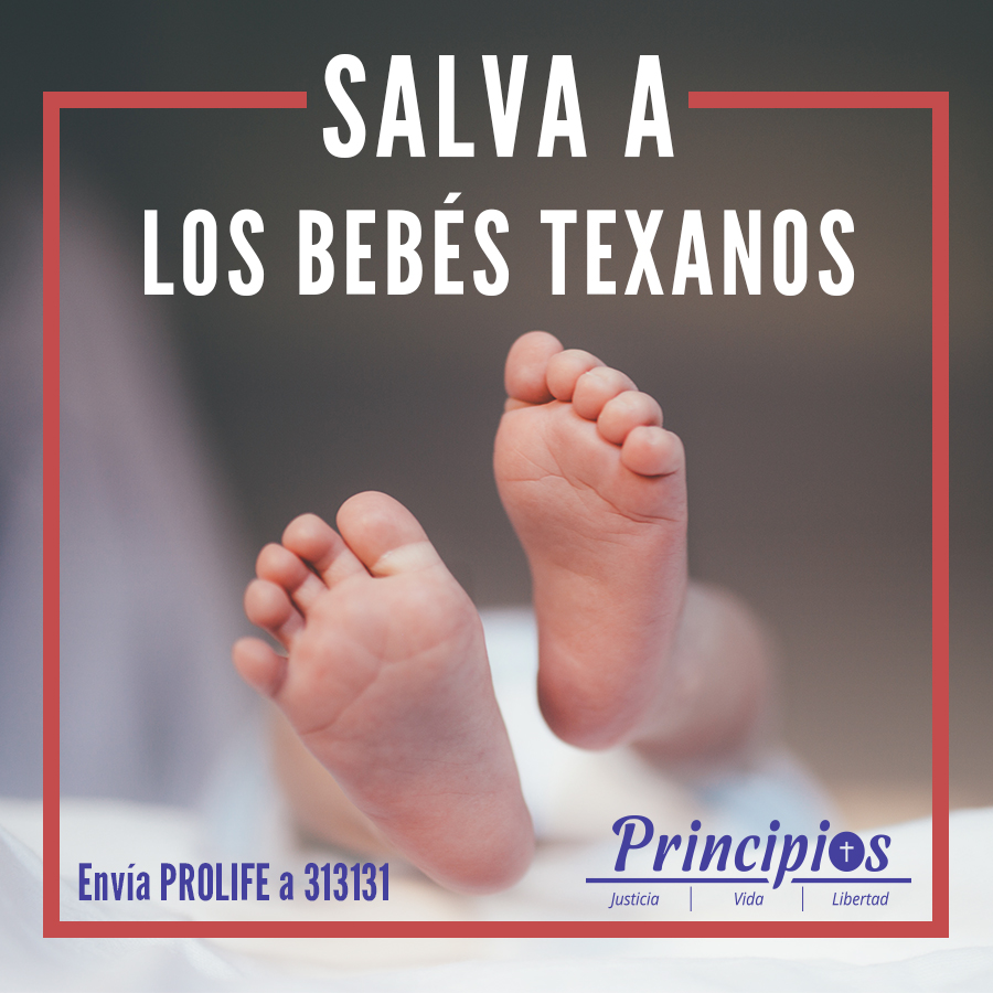 PrincipiosPAC's tweet photo. https://t.co/J9JmNcuZp9