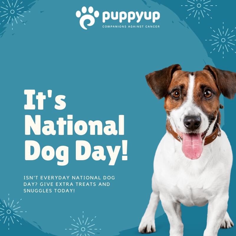 Woof! It's National Dog Day!

Spoil your furbabies a little more today ❤️❤️ Let's see those faces. Post below!

#puppyup #companionsagainstcancer #caninecancerawareness #cancerfighingsuperhero #NationalDogDay2020