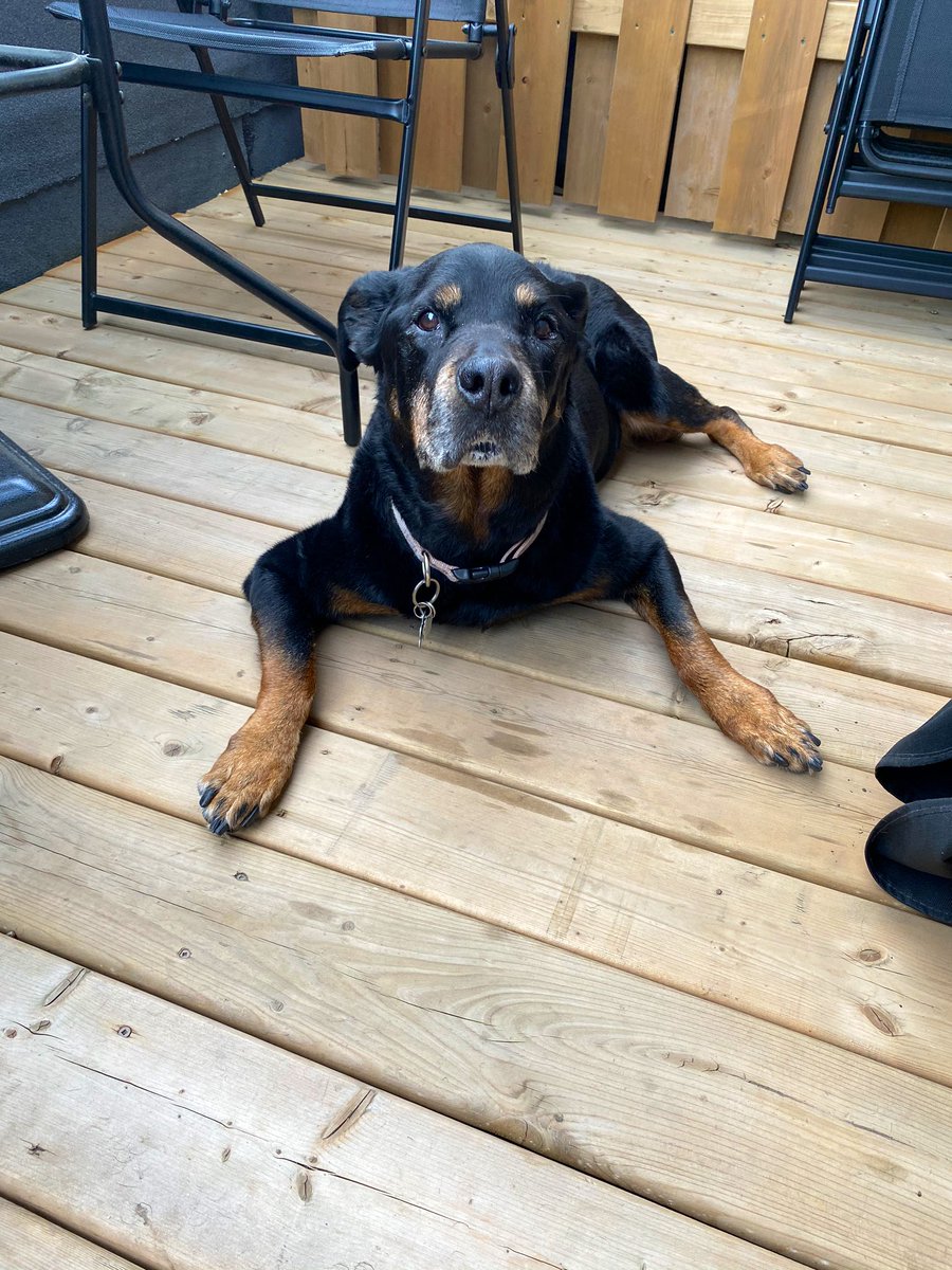 Jackie Marchildon tweet media