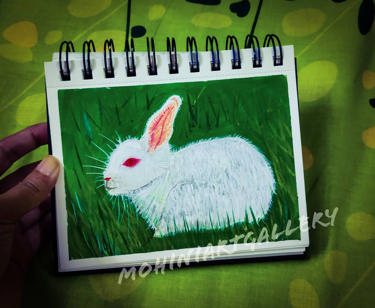 Cuteness of rabbit 🐰🥰

#rabbits #mohiniartgallery #artfollowers #animal #bunnyrabbit #bunny #paintingtutorial #paint #coloursoflife #artcaffe  #modernart #paintings #acrylicpaintings #acrylic