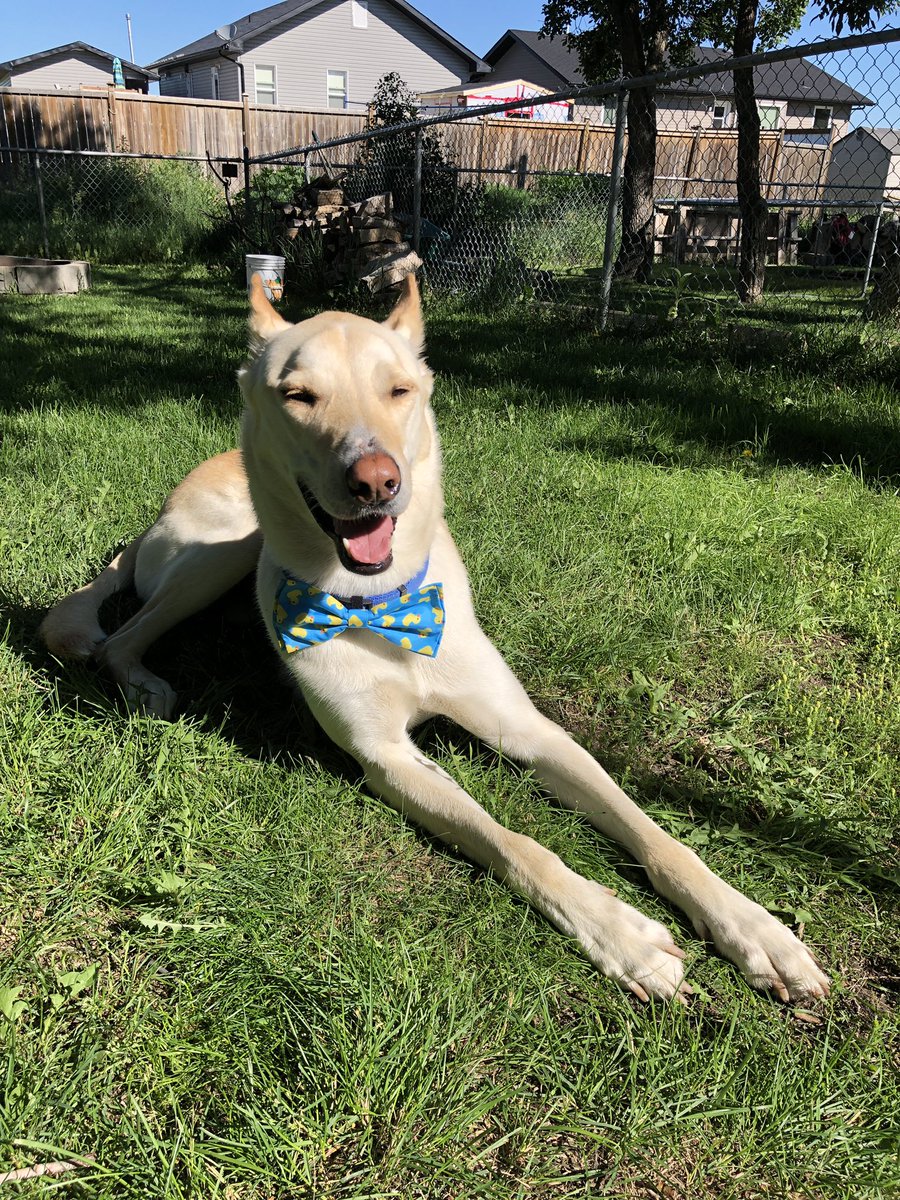 Carmen Chan 陳嘉敏 tweet media