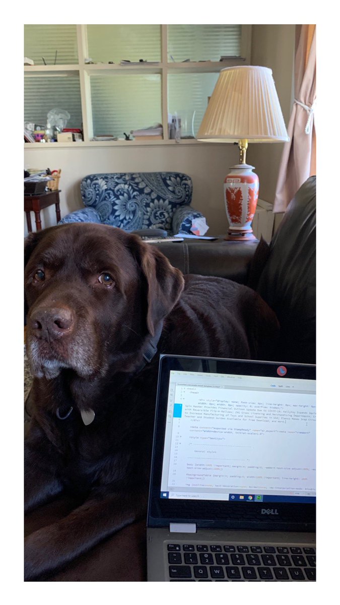 TTPMPets's tweet photo. Happy #NationalDogDay!! ❤️ We’ve been working on new content and can’t wait to share more with you all soon!!! 🥰 https://t.co/OH61NbPoyR