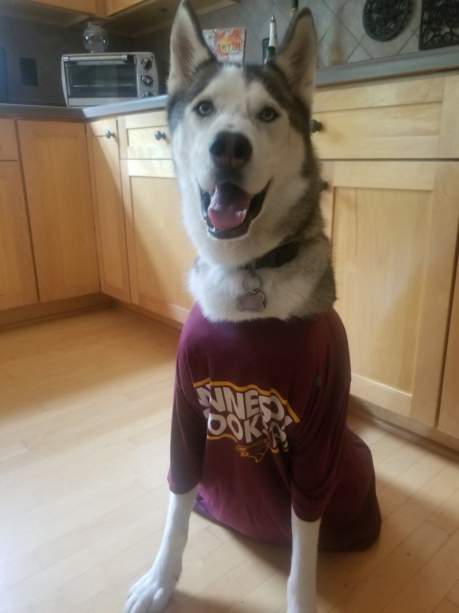 suefinberg's tweet photo. Happy #NationalDogDay2020 
@UMNCrookston https://t.co/nouES6BpPe