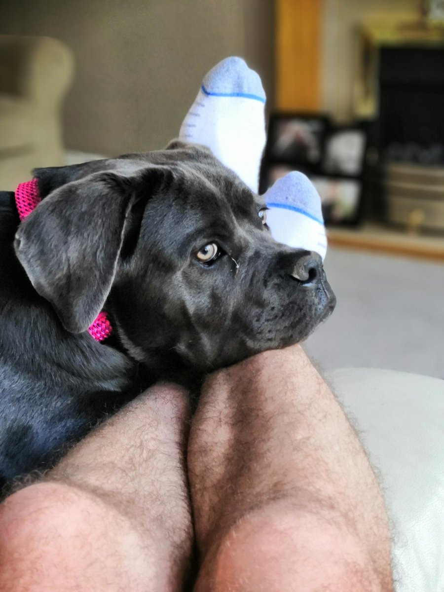 Christian Ward tweet media