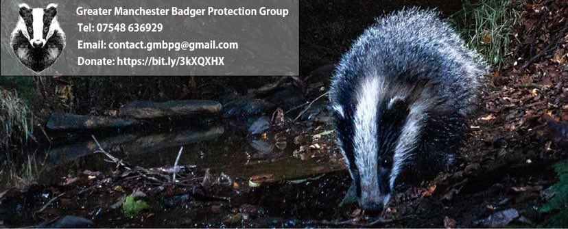 We have joined the world of Twitter!