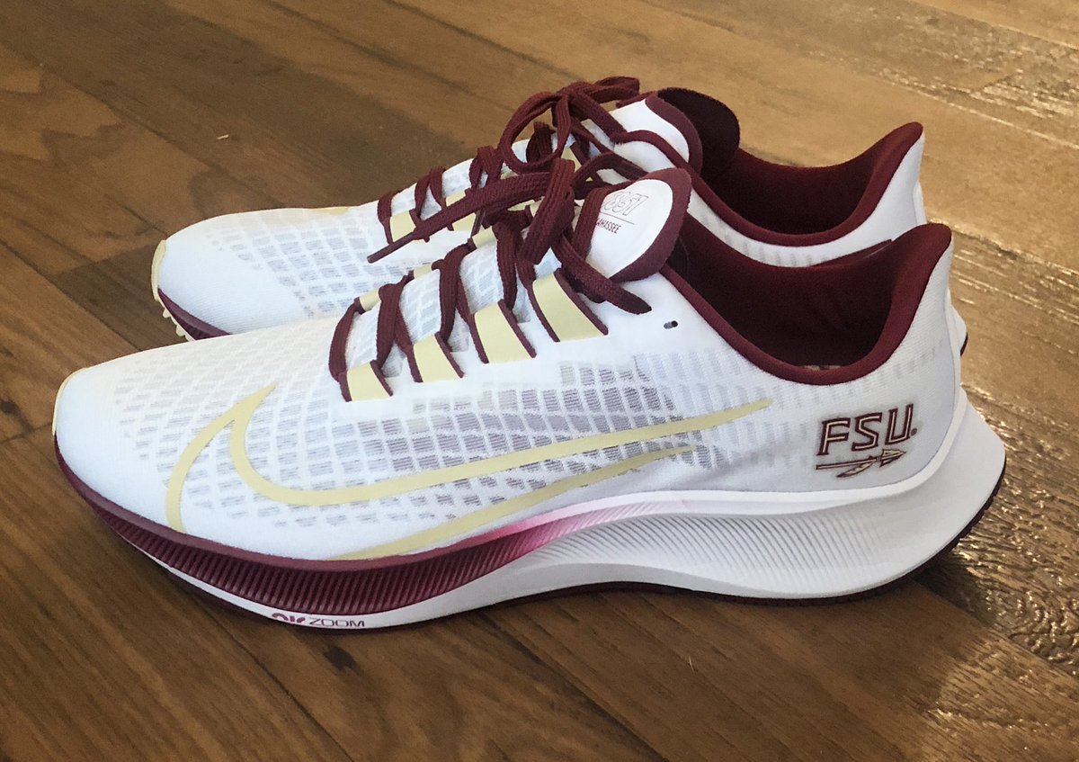fsu pegasus 36