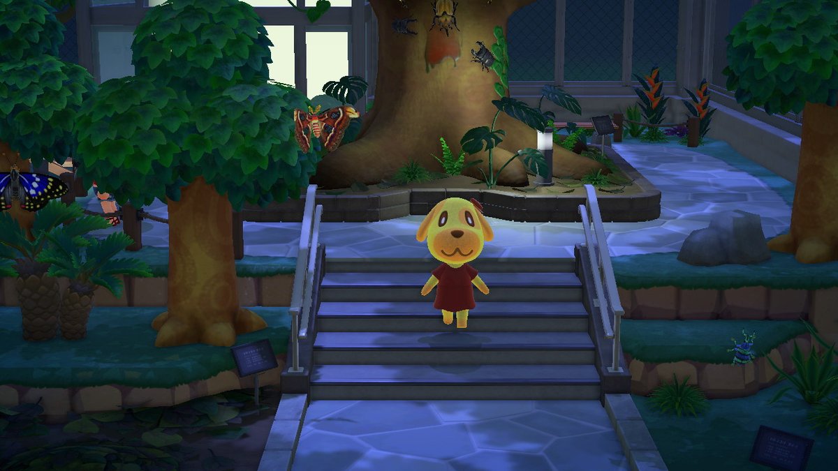 Jetsi_ACNH's tweet photo. #AnimalCrossing #ACNH #NintendoSwitch https://t.co/FIcP9H8VmL