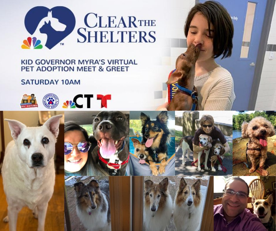 Happy #NationalDogDay!