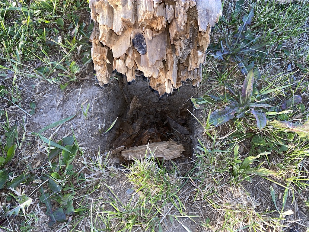 FenceArmorAl's tweet photo. While on a walk the other day we noticed these posts.

They are only around 3 years old and already they are rotting over. 

The solution? Use #FenceArmor and @postsaver.

Visit https://t.co/gOmMkB2NdF today.

#fenceprotector #woodfence #preventpostrot #woodprotector #postguard https://t.co/y1KUScphCp