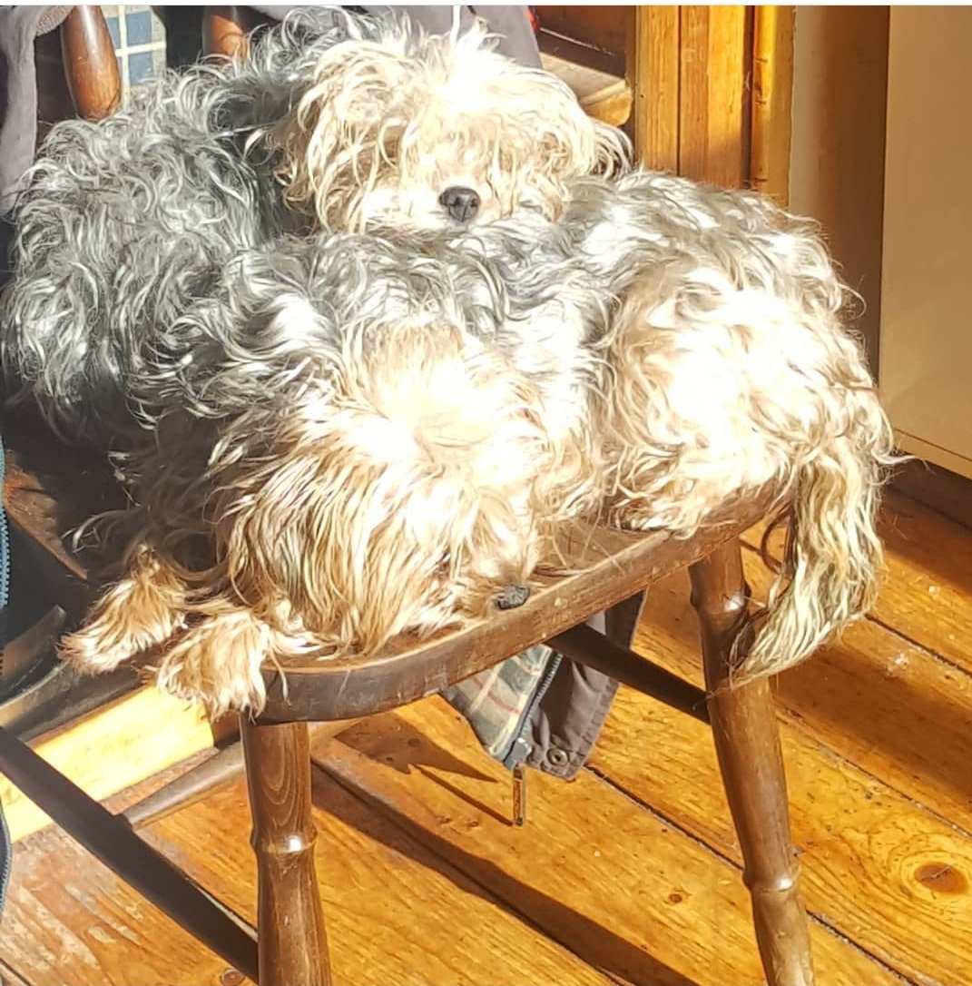 Peadar Mac Cú Uladh tweet media