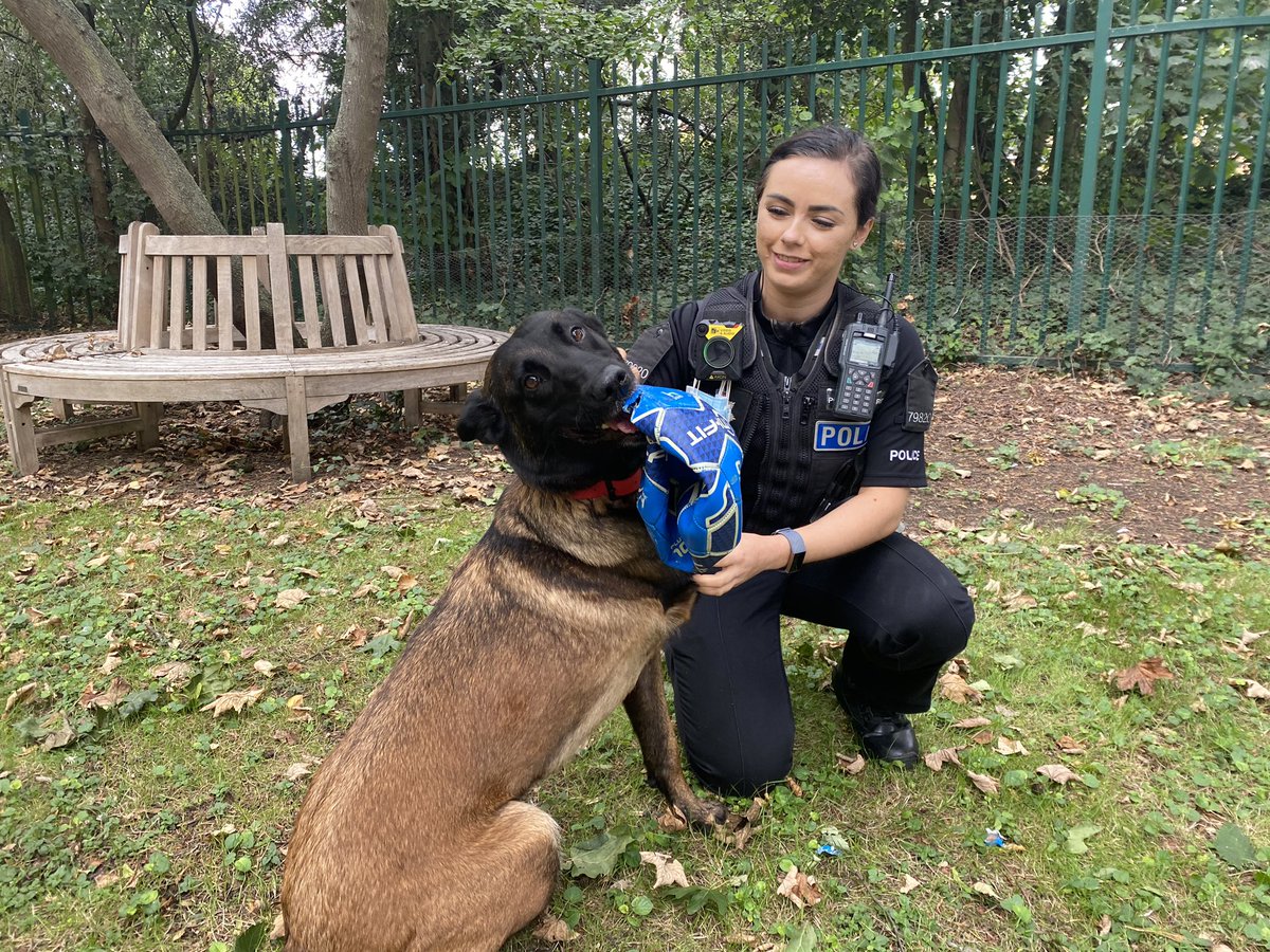 PC 79820 Wilshire tweet media