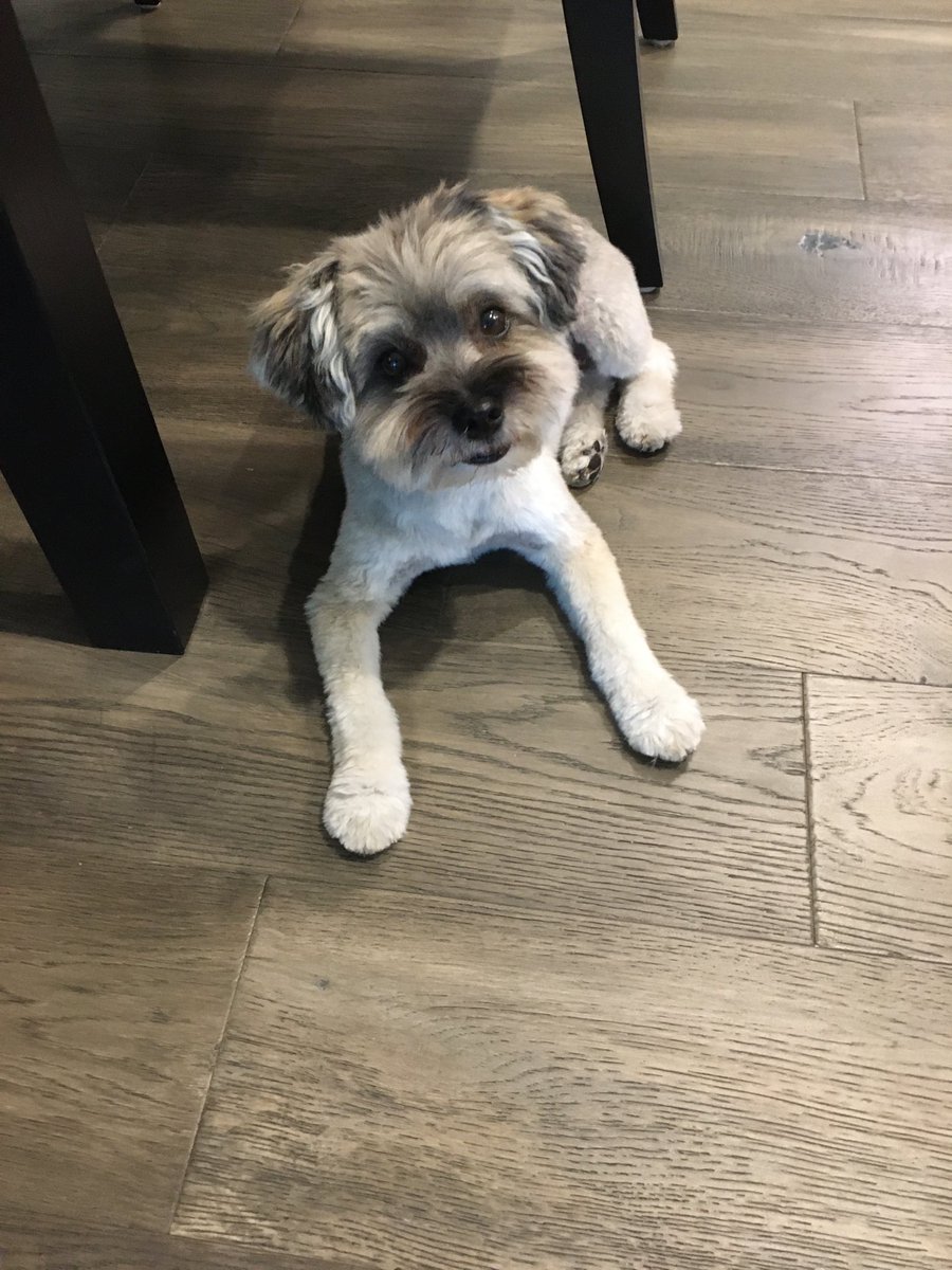 Amy Marsh tweet media