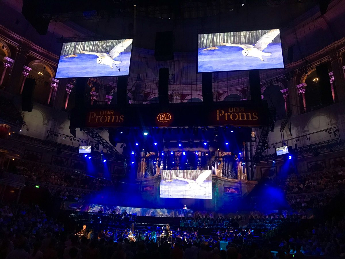 Serena Cross tweet media