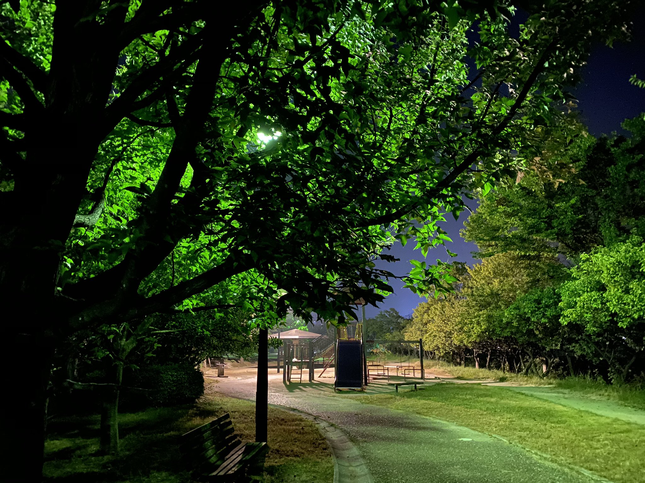 ｐ Mig Piː Mig ぴーみぐ 安佐南区川内 川内第二公園 夜の公園怖いからね 茂みから誰かが覗いてるよ たまに子供の声が聞こえるよ 足音が近づいてくるよ 大きな蛾がいつの間にか体にくっついてくるよ 広島 広島市 公園 ぴーみぐ