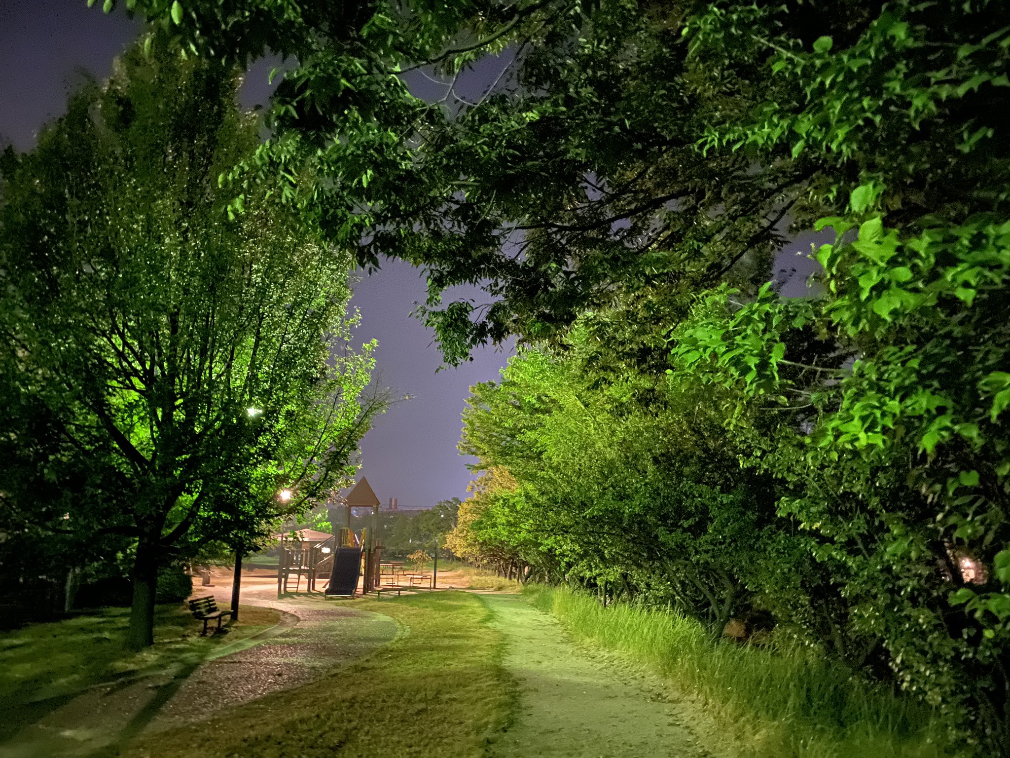 ｐ Mig Piː Mig ぴーみぐ 安佐南区川内 川内第二公園 夜の公園怖いからね 茂みから誰かが覗いてるよ たまに子供の声が聞こえるよ 足音が近づいてくるよ 大きな蛾がいつの間にか体にくっついてくるよ 広島 広島市 公園 ぴーみぐ