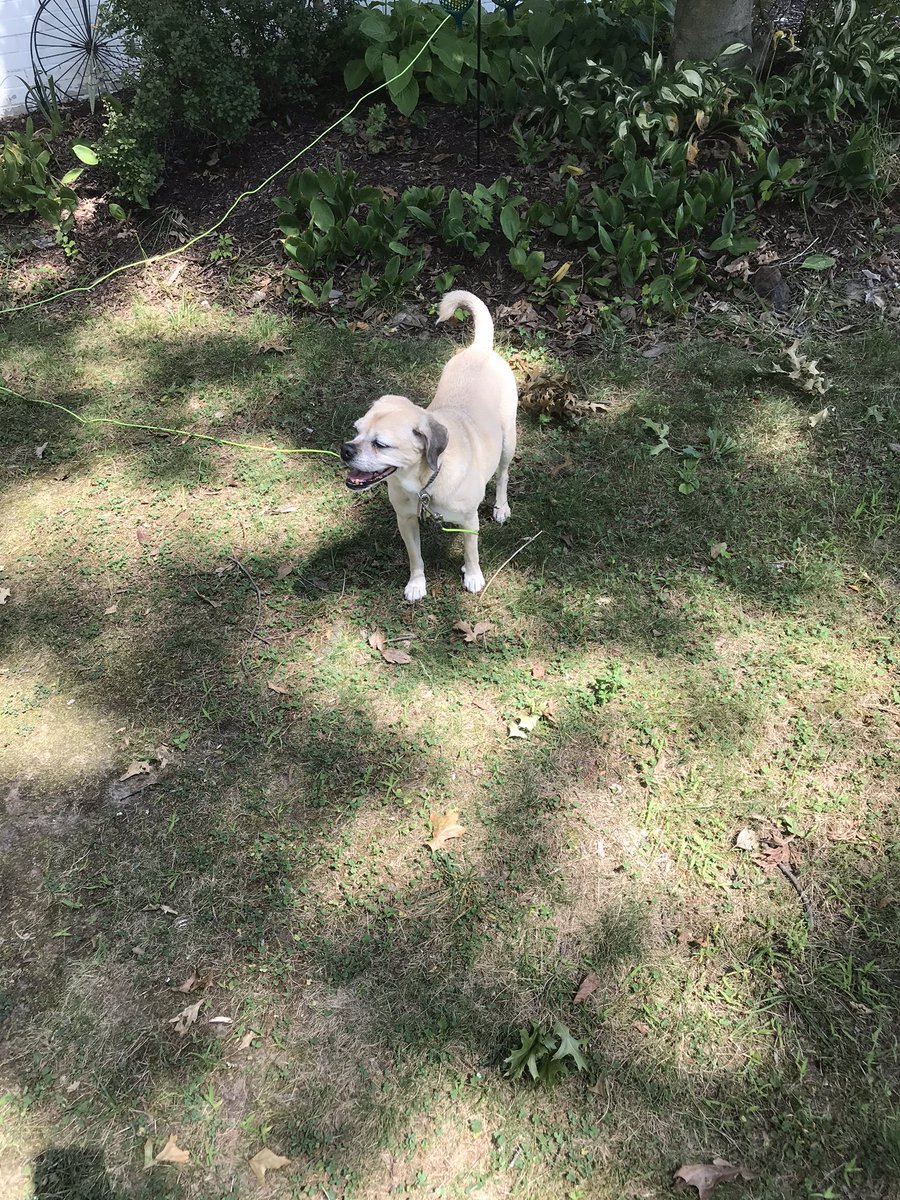 Max Brandy (@maxdbrandy) on Twitter photo 