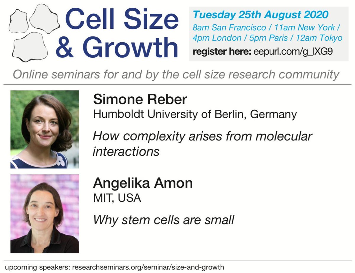 Jan Skotheim (@janskotheim) on Twitter photo Fantastic seminar on spindle size by <a href="/simonereber/">Simone Reber</a> and epic q&a on how cell size relates to senescence by <a href="/AngelikaAmon/">Angelika Amon</a> S01E05 August 11th, 2020 - Simone Reber and Angelika Amon youtu.be/CHXj7BV-3aU via <a href="/YouTube/">YouTube</a> <a href="/mpswaffer/">Matthew Swaffer</a> <a href="/MikeChuckLanz/">Mike Lanz</a> #cellsizeandgrowth Fantastic seminar on spindle size by <a href="/simonereber/">Simone Reber</a> and epic q&a on how cell size relates to senescence by <a href="/AngelikaAmon/">Angelika Amon</a> S01E05 August 11th, 2020 - Simone Reber and Angelika Amon youtu.be/CHXj7BV-3aU via <a href="/YouTube/">YouTube</a> <a href="/mpswaffer/">Matthew Swaffer</a> <a href="/MikeChuckLanz/">Mike Lanz</a> #cellsizeandgrowth