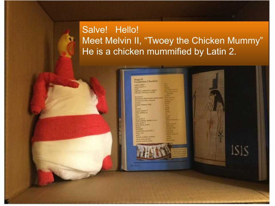 Twoey will be our guide as we navigate our digital adventures in the Graeco-Roman world.  
Get ready <a href="/SterlingMiddle1/">Sterling MS</a> <a href="/PFannouncements/">Potomac Falls HS</a> and <a href="/Park_View_HS/">PVHS</a>!  Our  first Quest starts in less than 2 weeks.