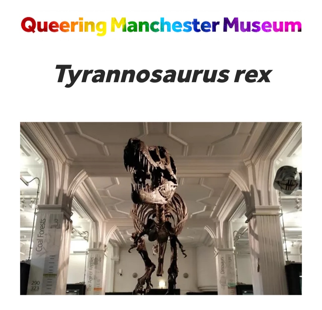 No.9 saving the best for last we meet: Tyrannosaurus Rex and discover"Nothing needs pronouns given to them. We should accept this - with old fossils and humans" The 14 year old author then describes their pronouns as he/him 16/