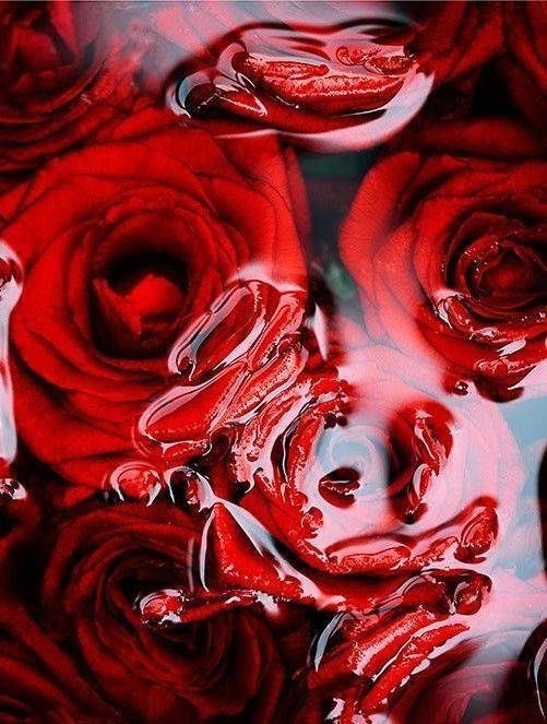 lietomesivan's tweet image. Type ur birth month + red + aesthetic on Google. Reply to this with the pics &amp;amp; tag 5 Red team moots. Don't tag those who were tagged already. Let's keep this going! #CALMPromoComp #REDSOS  #5SOSRedTeam 
@mindoflrh @illicitafi @rachaellftv @DESERTLFTV @mgclwh