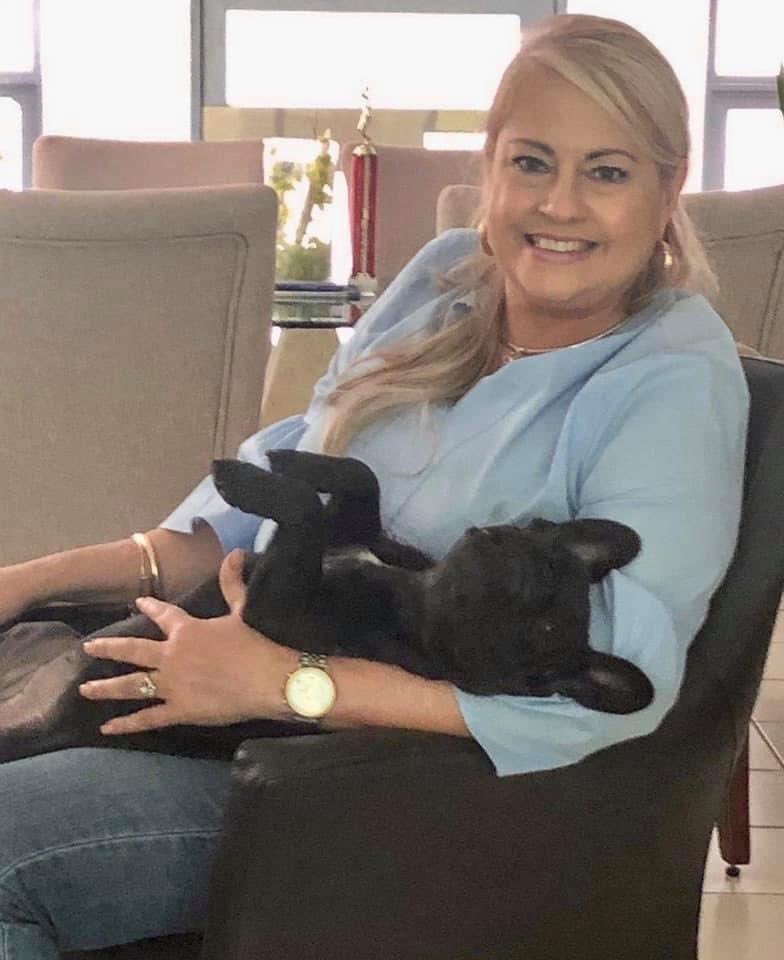 WandaGobPR's tweet photo. #NationalDogDay2020💙 https://t.co/gESkGxzUrH