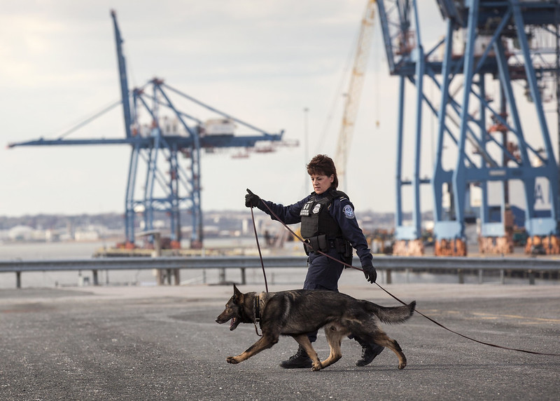 DHSgov's tweet photo. K9s have been used by law enforcement agencies for decades to protect the Homeland. On #NationalDogDay join us in thanking our four-legged friends for sniffing out danger and protecting our Homeland. https://t.co/jfkDvGzwyv