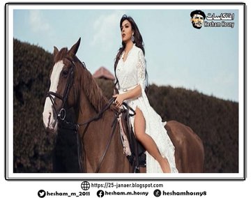 فرس  ناهد السباعي