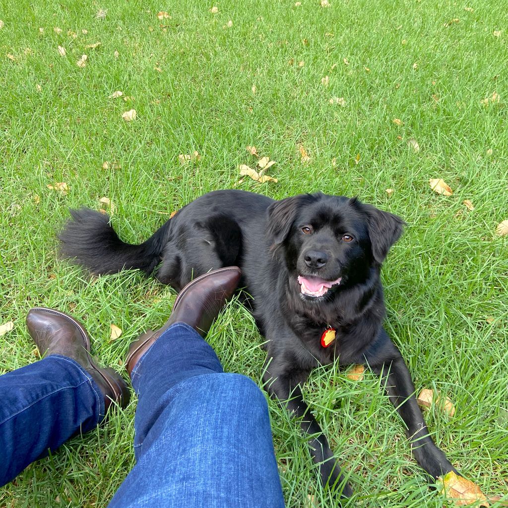 Boots, best friend. Happy #NationalDogDay.