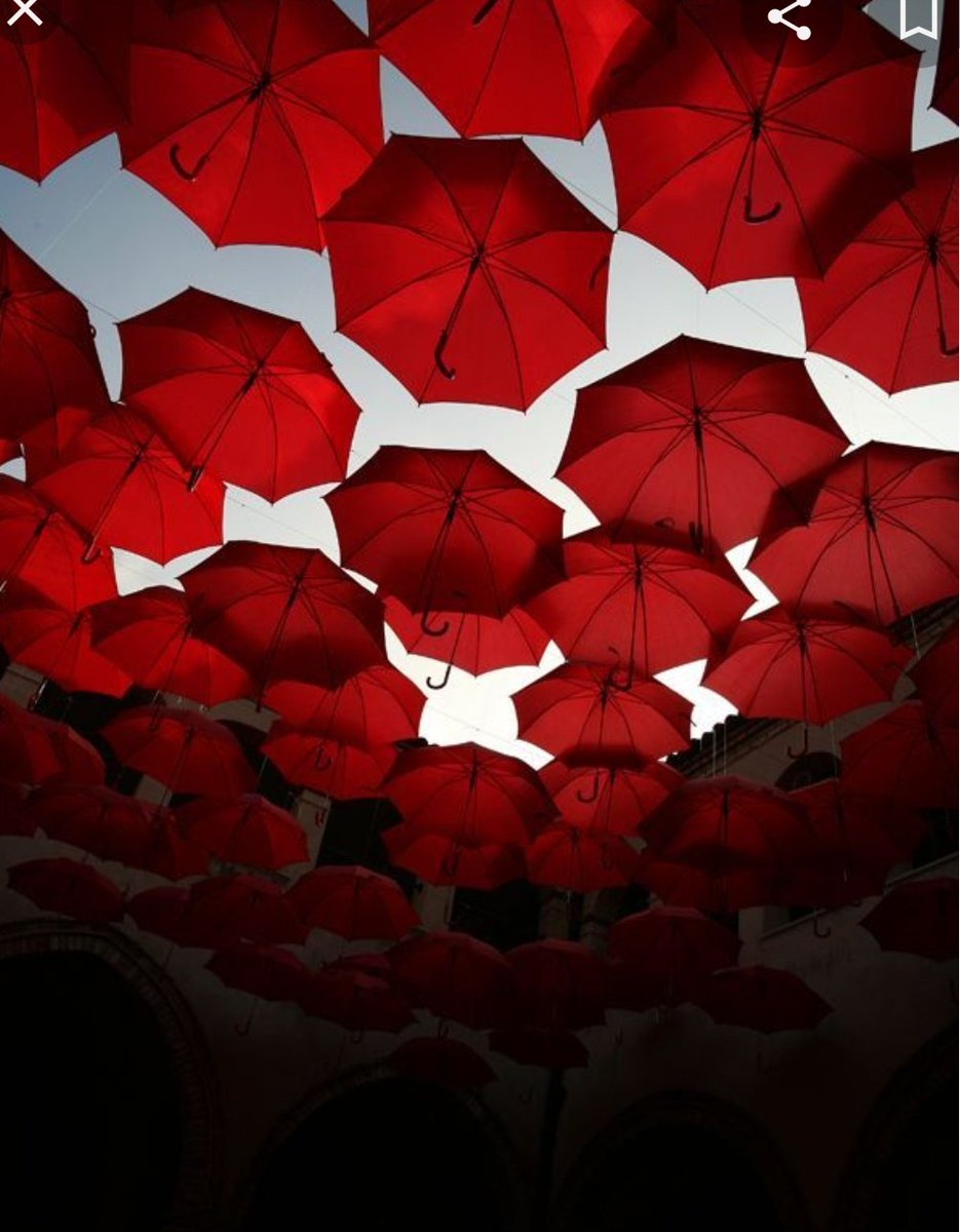 EyebrowsAshton's tweet image. Type ur birth month + red + aesthetic on Google. Reply to this with the pics &amp;amp; tag 5 Red team moots. Don't tag those who were tagged already. Keep this going!
@LUCIDCAL @redesertliv @redesertasia
@_babybluelou_ @hemmings_luv
#STREAMOLDME
#REDSOS
#5SOSRedTeam
#STREAMREDDESERT