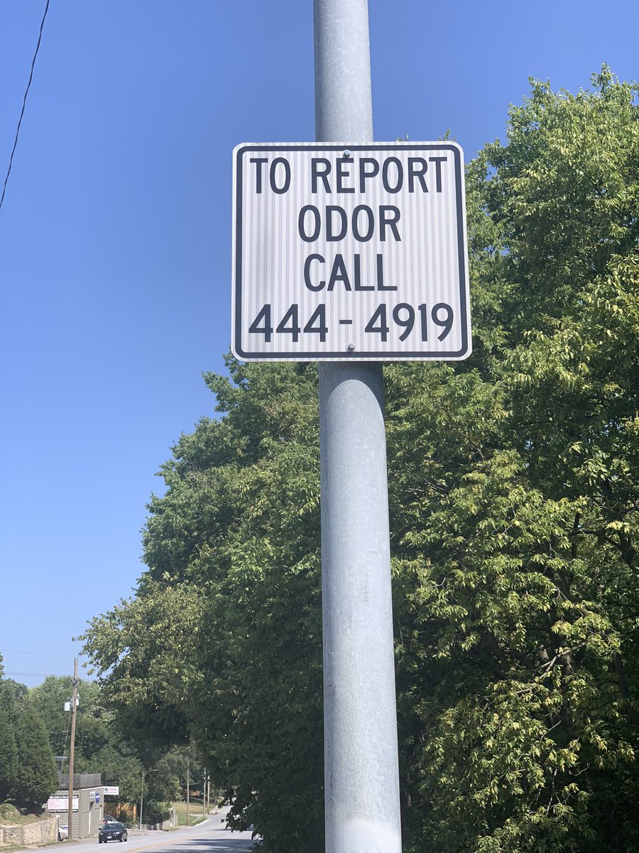 sanguine stefani tweet media