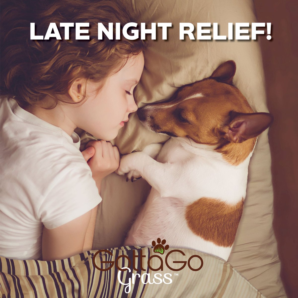 GottaGoGrass's tweet photo. Catch more Zzz’s with Gotta Go Grass™. Your furry friend will have a natural grass relief option available to them, even when you’re sleeping. Sweet dreams!
#GottaGoGrass #NationalDogDay #Dog #Puppy
Try Today at https://t.co/yPoXXRPBwJ https://t.co/nxKBSqrTkO