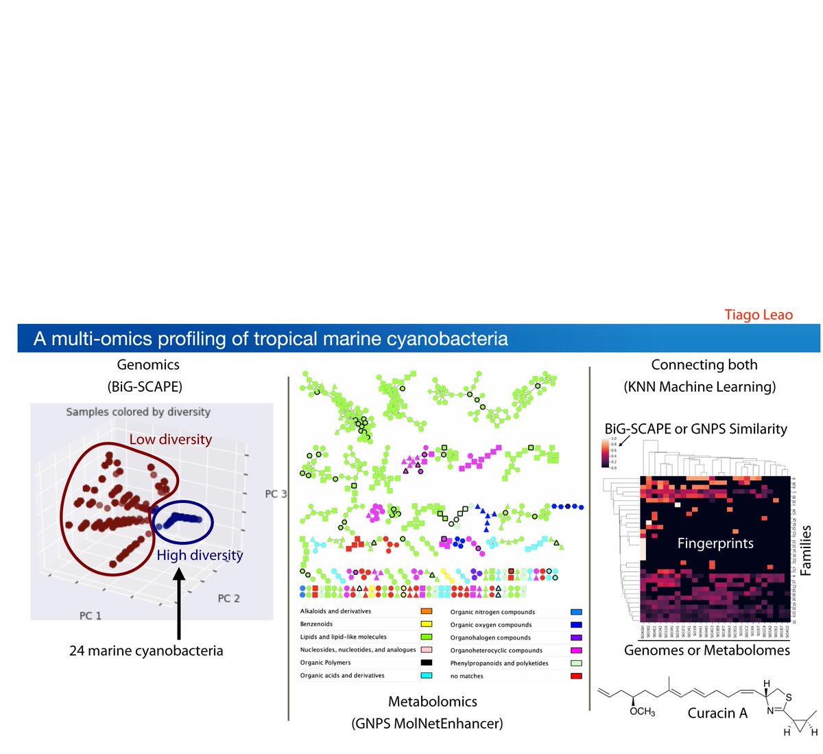 GNPS_UCSD's tweet photo. A multi-omics description of the natural product potential of tropical marine cyanobacteria https://t.co/3wYa5bm4KE