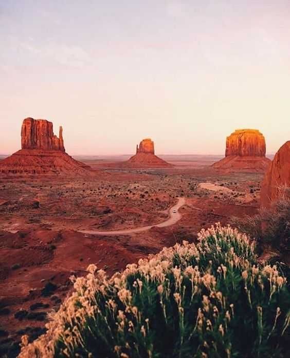 letterswordt's tweet image. type ur birth month + red + aesthetic on google. add the first 4 pics
DO IT IF U SEE IT❤
#5SOSRedTeam #5SOSPromoComp #REDSOSHASTEETH