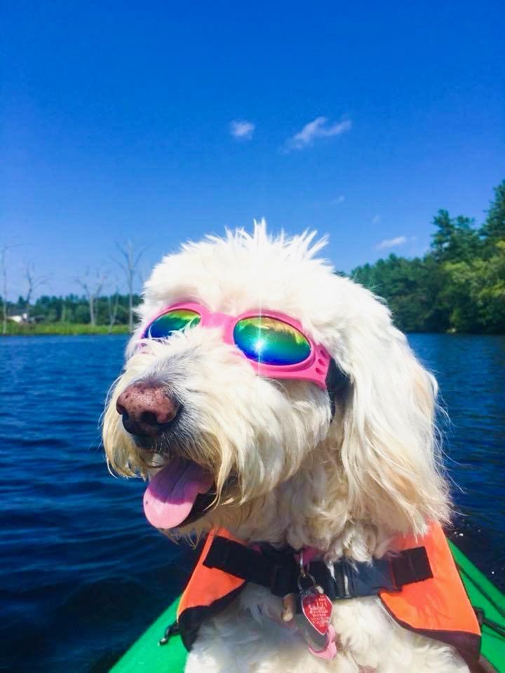 HPE Networking tweet media