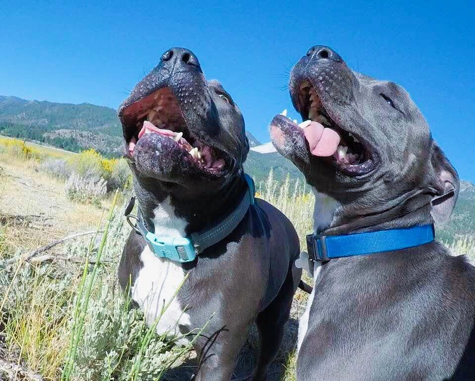 HPE Networking tweet media