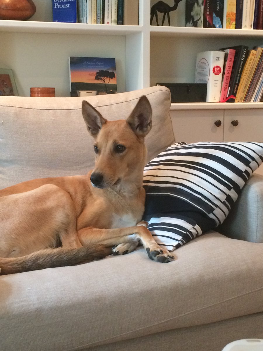 Ariane Cartwright tweet media