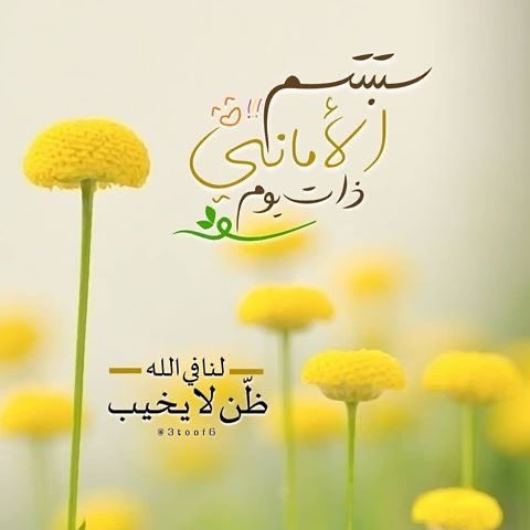 ‌"أخلاقهم لهم 
فإن أساؤوا فتلك صحائفهم
و أخلاقك لك 
فإن أحسنت..أحسنت في صحيفتك
فعاملهم بما تحب أن تراه يوم القيامة 
لا بما يستحقون في الدنيا"!

  *• ͜ •*   #لاترحل_بلا_اثر    *• ͜ •*