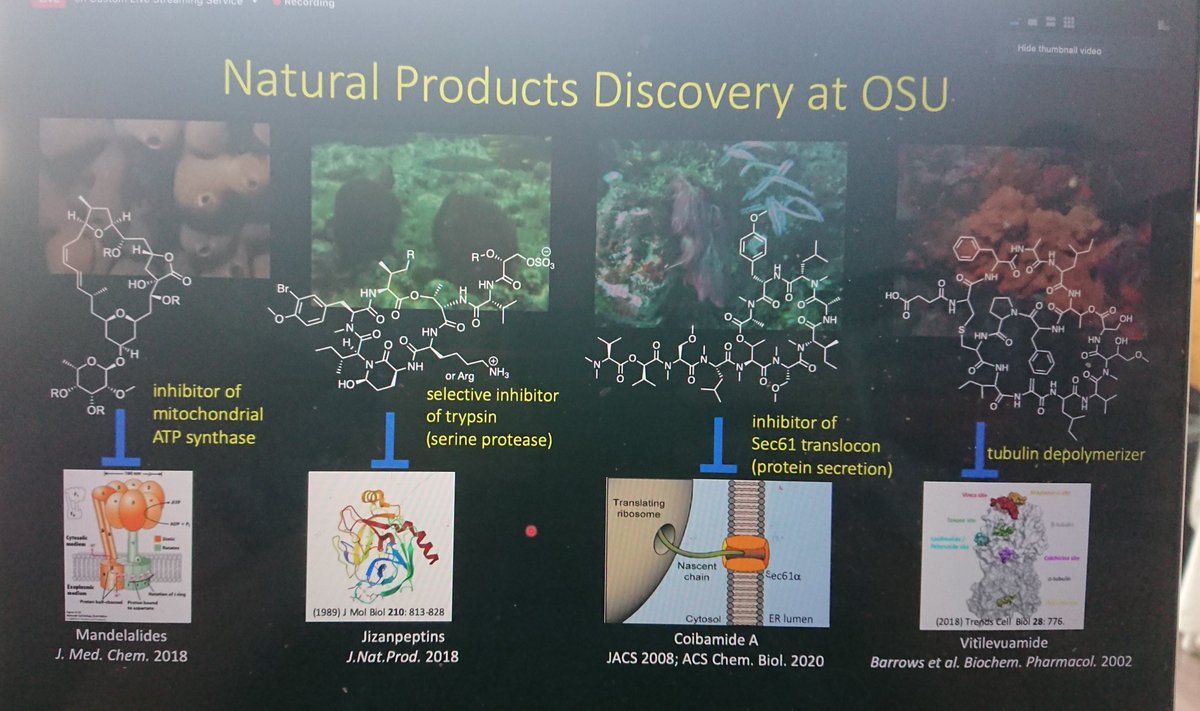 jjjvanderhooft's tweet photo. @kerrymcphail1 giving a great #naturalproducts keynote at the @GNPS_UCSD user meeting! 😎 She highlights so many GNPS tools including #ReDU, #MASST, and #FBMN! 😎 Great to see how #metabolome #mining supports #naturalproducts #discovery!! https://t.co/N2ANRe27lX