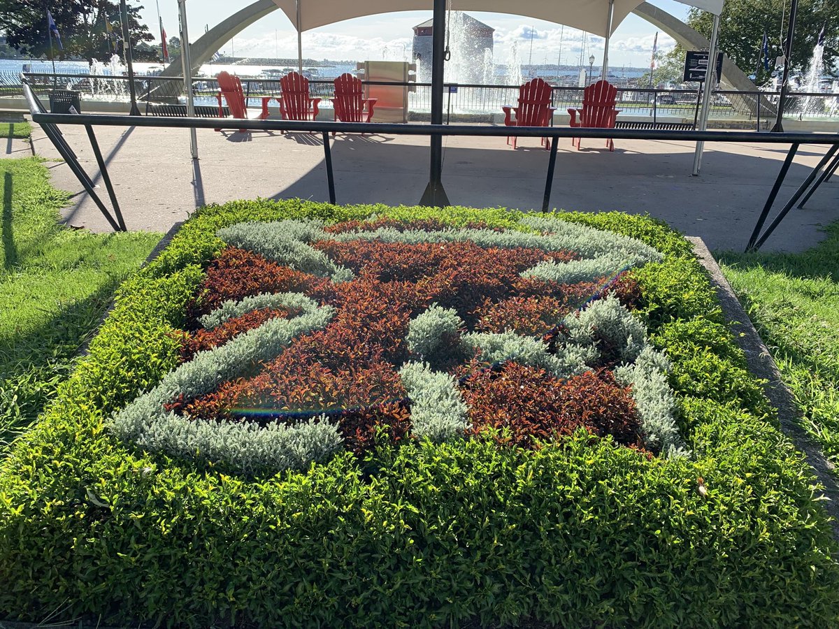 MayorPaterson's tweet photo. Can’t believe it took me until today... way too long... to realize that this shrubbery in front of City Hall isn’t just a very eclectic mix of greenery, but actually contains a message. #PhysicalDistancing #ygk https://t.co/VGgU2H0gMa