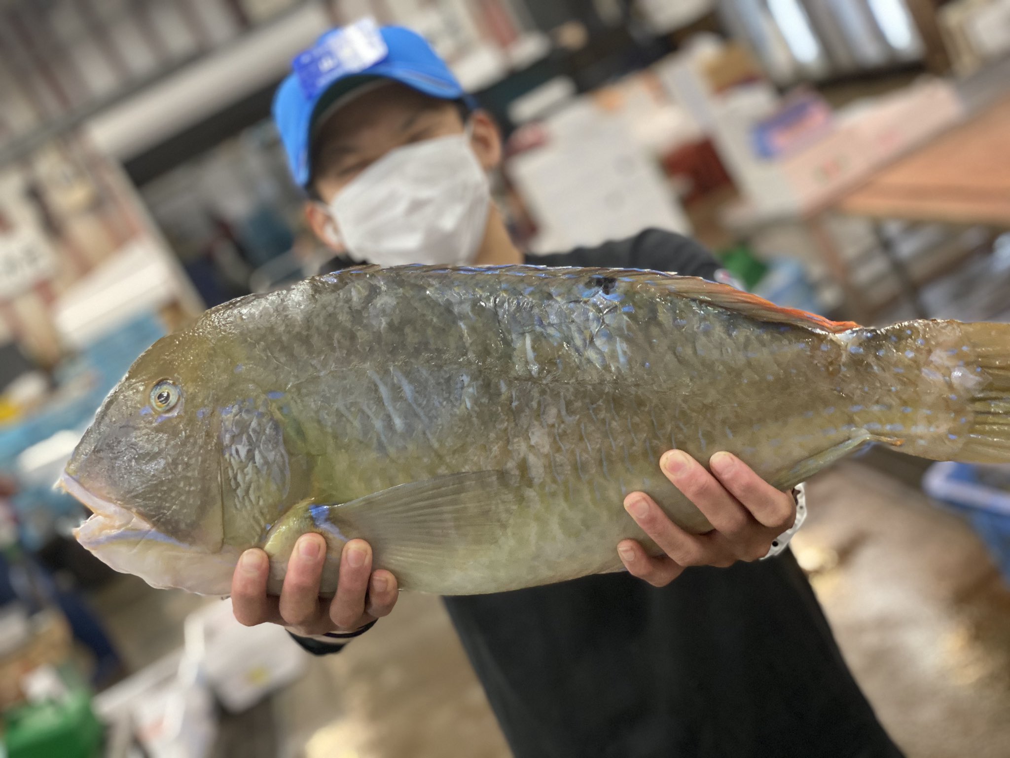 津本式 仕立て屋 じょ兄 津本式 究極の血抜き 4kup マクブ 山口県岩国市 酒奏しんみさん 大分県豊後高田市 そば六郷さんへ 津本式 仕立て屋 じょ兄 津本式 究極の血抜き 4kup マクブ 山口県岩国市 酒奏しんみさん 大分県豊後高田市 そば六郷さんへ