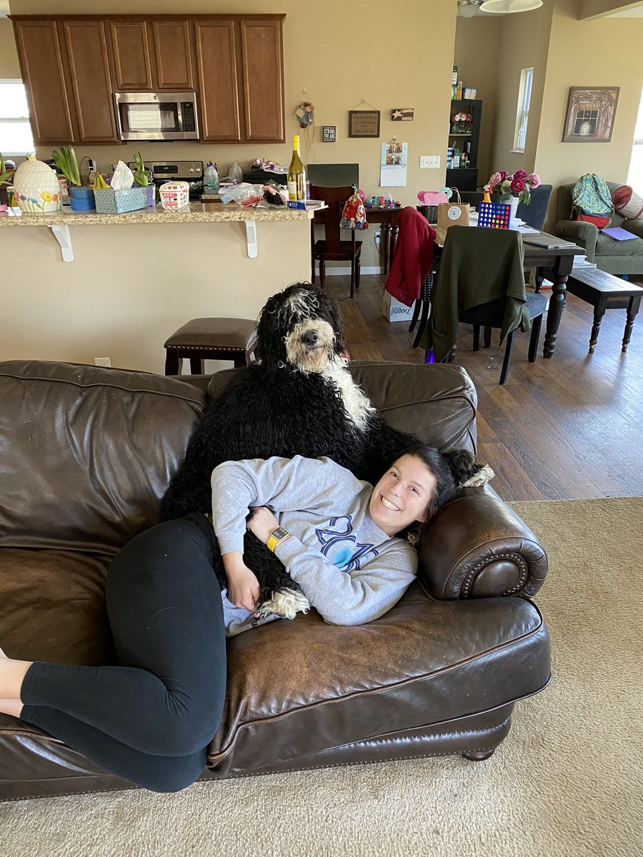 Mackkkk_17's tweet photo. Happy national dog day to the 2 of the biggest lap dogs out there 🤩❤️ https://t.co/sjAPlWL6hd