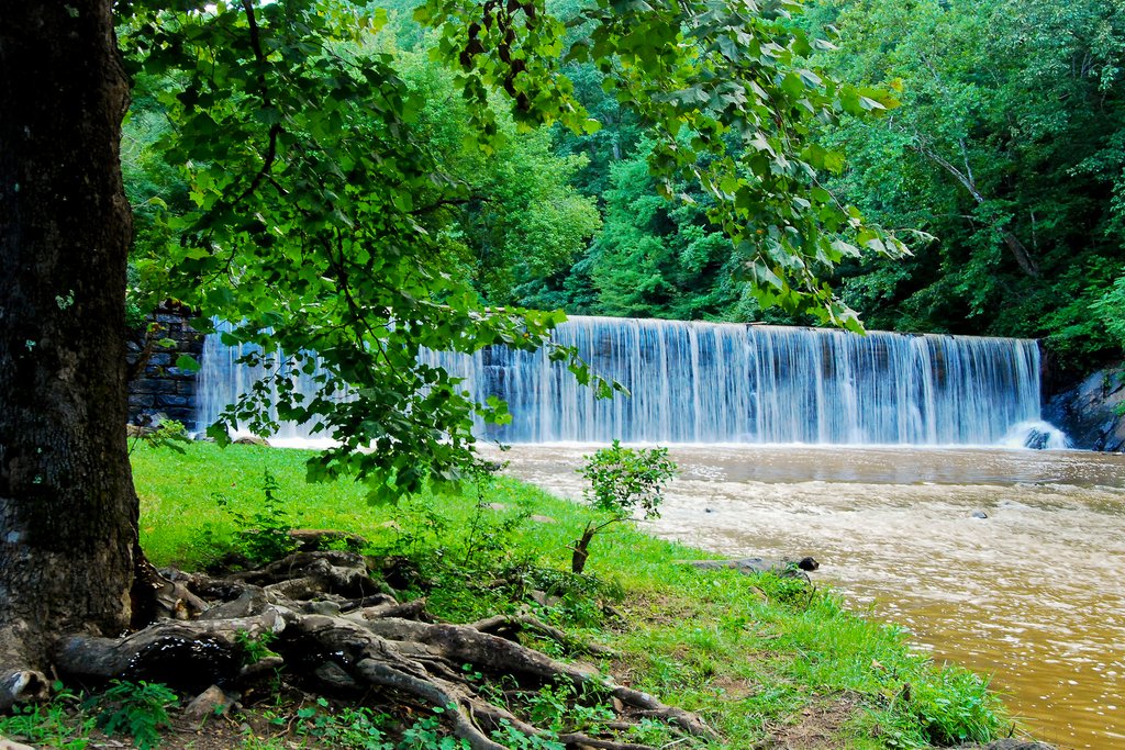 Visit Lynchburg VA tweet media