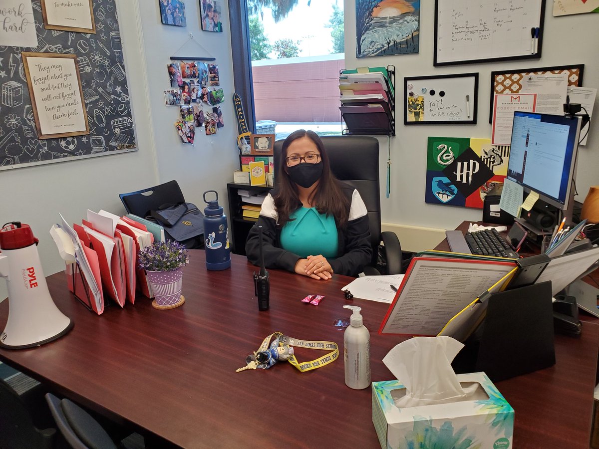 Bonita USD tweet media