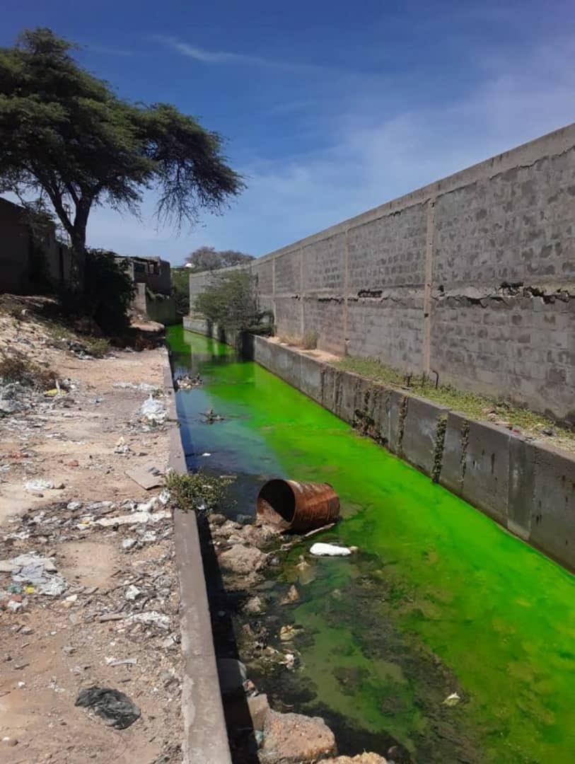 ReporteYa's tweet image. #26Ago #Contaminación 
@soypetitygarcia: Refinería de Punta Cardón está destilando un líquido verde. Nadie sabe que sucede. Vecinos alarmados por esta situación difunden fotos por redes sociales