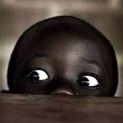 منذ فترة ليست بالقليلة أصبحت أنظر للأشياء بهذه الطريقة ..
فماذا حدث لي؟